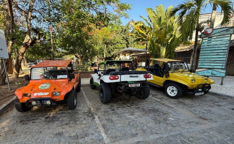 Passeio de buggy passando pela vegetação nativa na Reserva Sapiranga